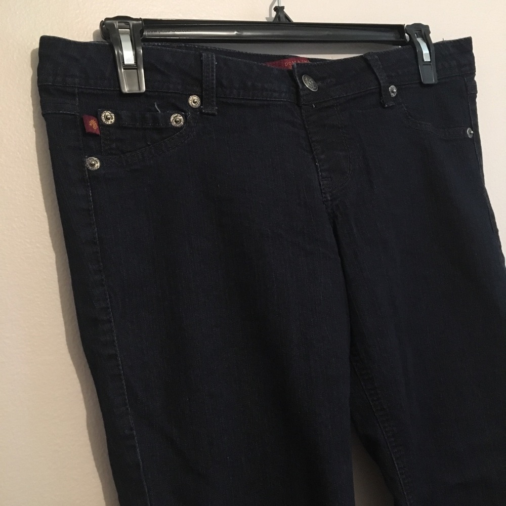 Domaine dark denim skinny jeggings 1x G1